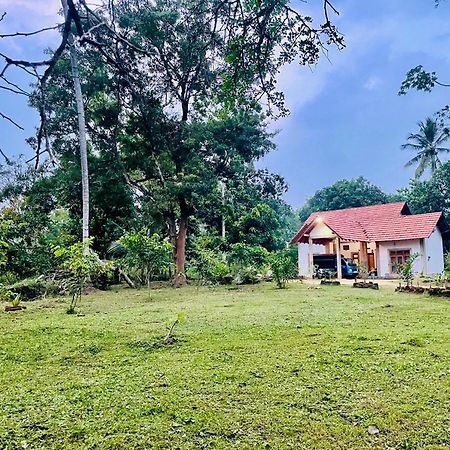 The Eco-Lodge 더 에코-롲지 Maho Exterior photo