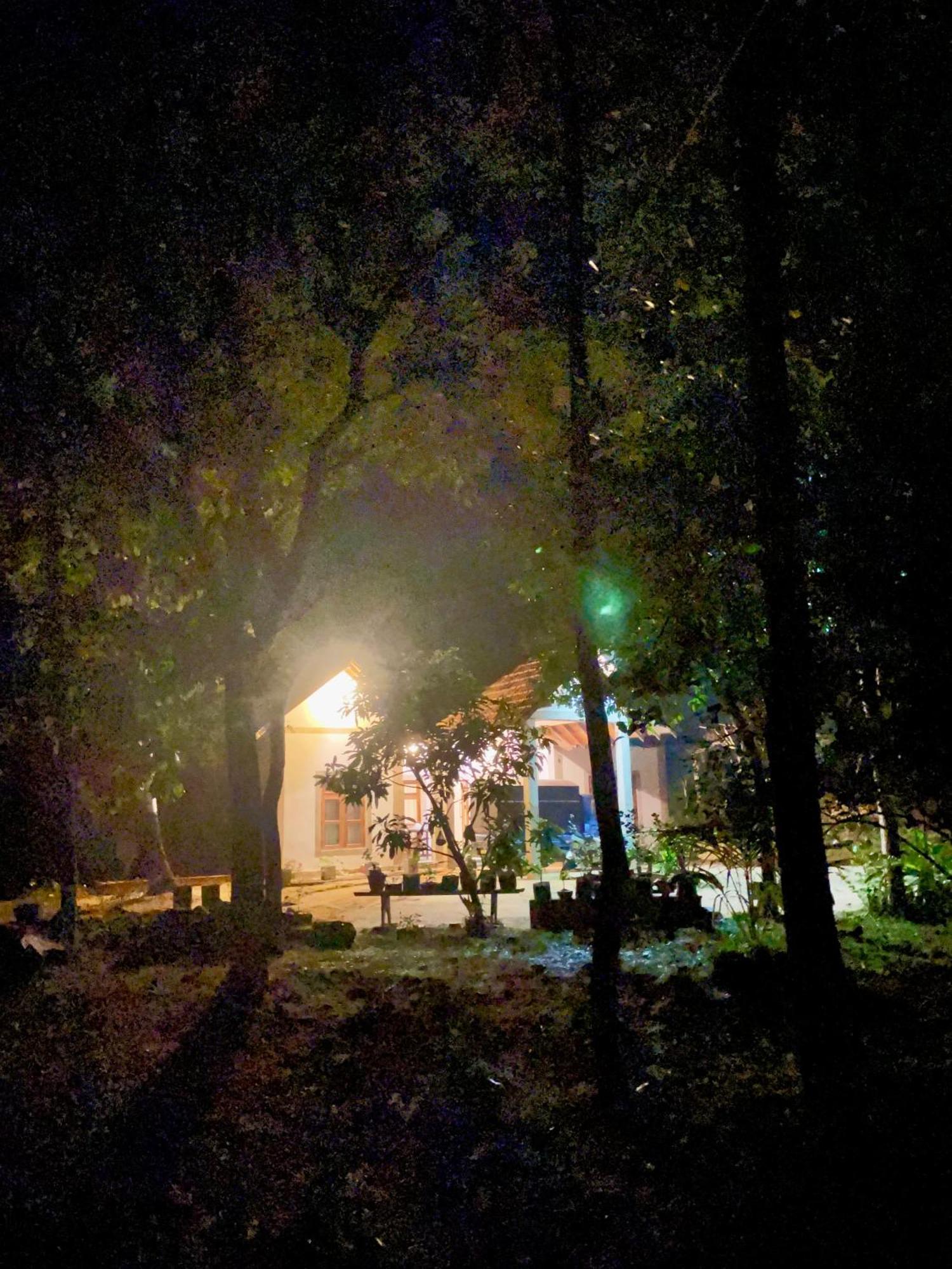The Eco-Lodge 더 에코-롲지 Maho Exterior photo