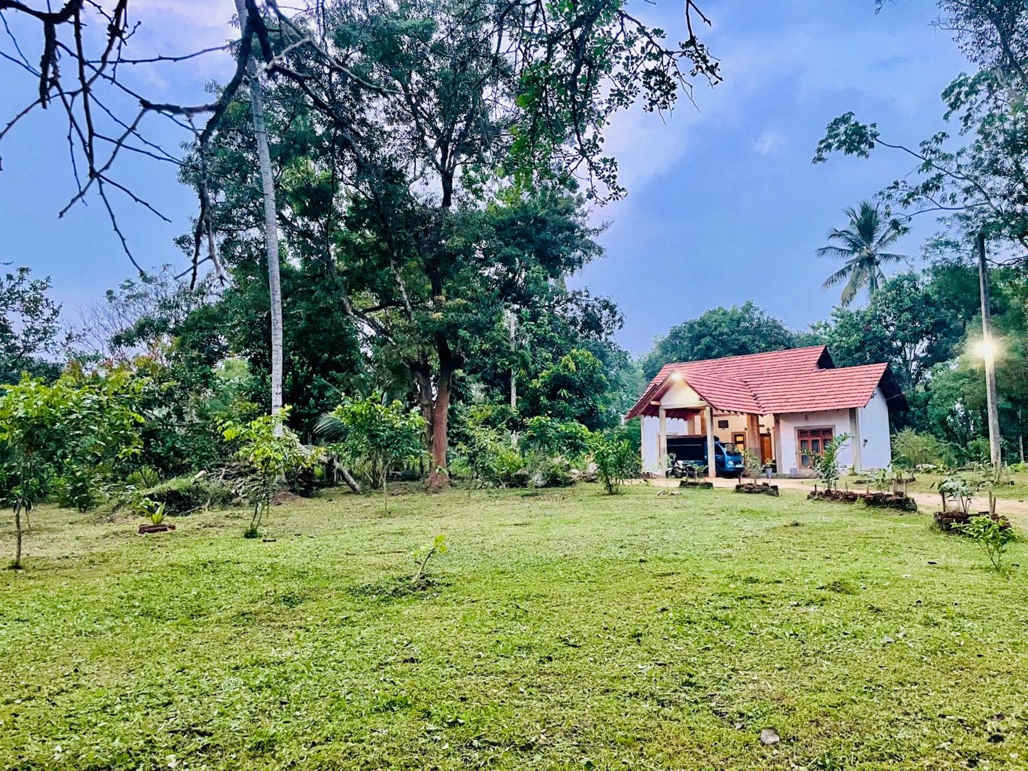 The Eco-Lodge 더 에코-롲지 Maho Exterior photo
