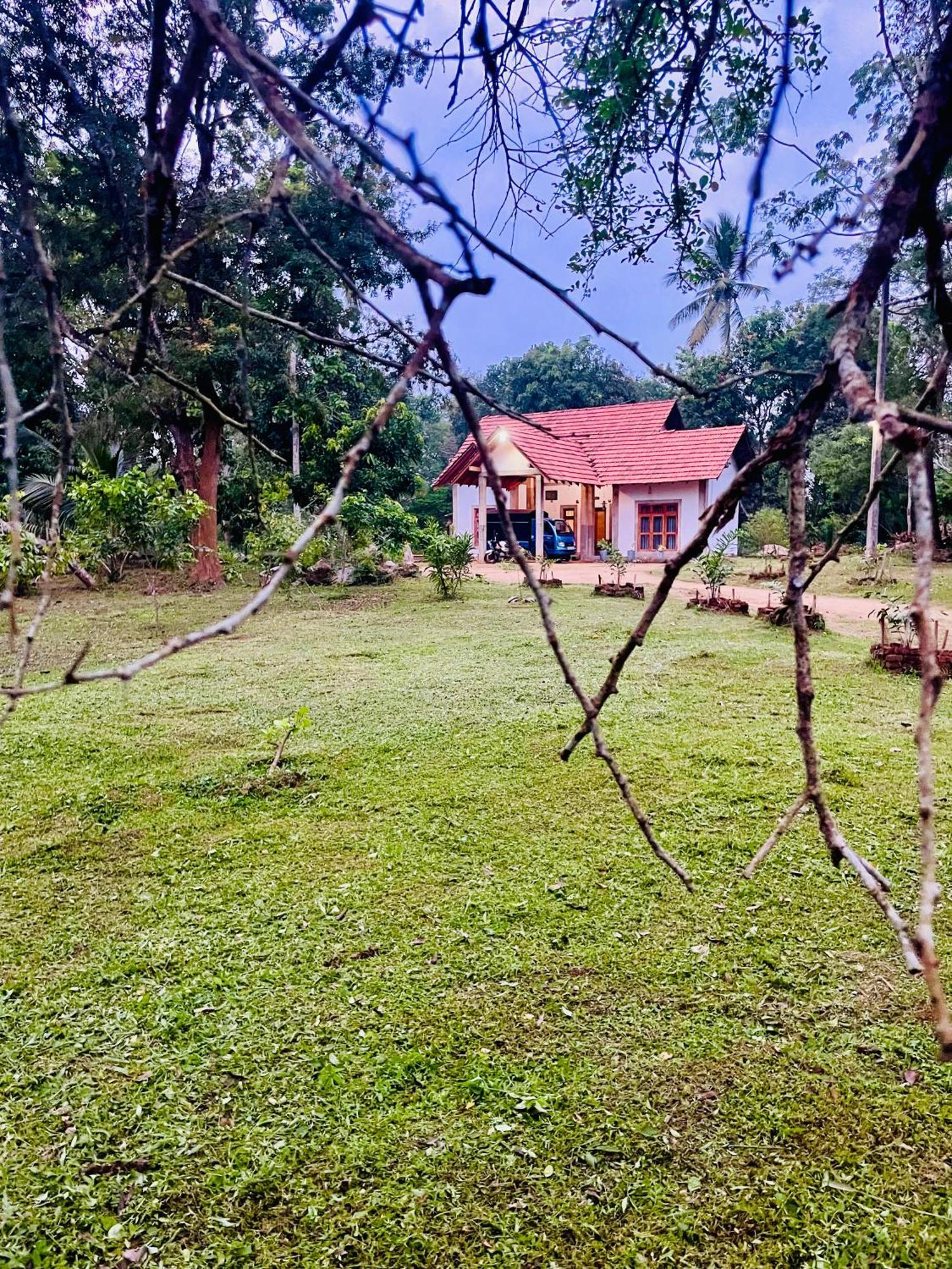The Eco-Lodge 더 에코-롲지 Maho Exterior photo